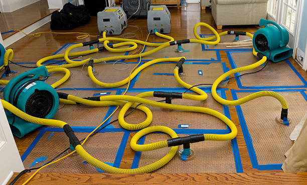 Professional Structural Drying And Dehumidification technician working in Rialto, CA